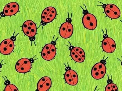 معمای زیر را در چند ثانیه حل می کنید؟