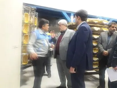 بازدید معاون قضایی دادستانی کل کشور از شهرک صنعتی شمس‌آباد