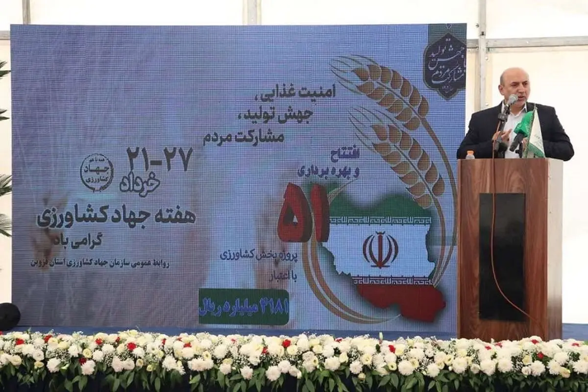 کشور با کمک دانش بنیان‌ها در تولید گندم نان به خودکفایی رسید