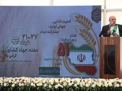 کشور با کمک دانش بنیان‌ها در تولید گندم نان به خودکفایی رسید