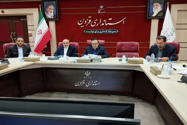 قطعی برق به صنایع قزوین آسیب جدی می‌زند/تخصیص برق به استان‌ها نیازمند تجدیدنظر است