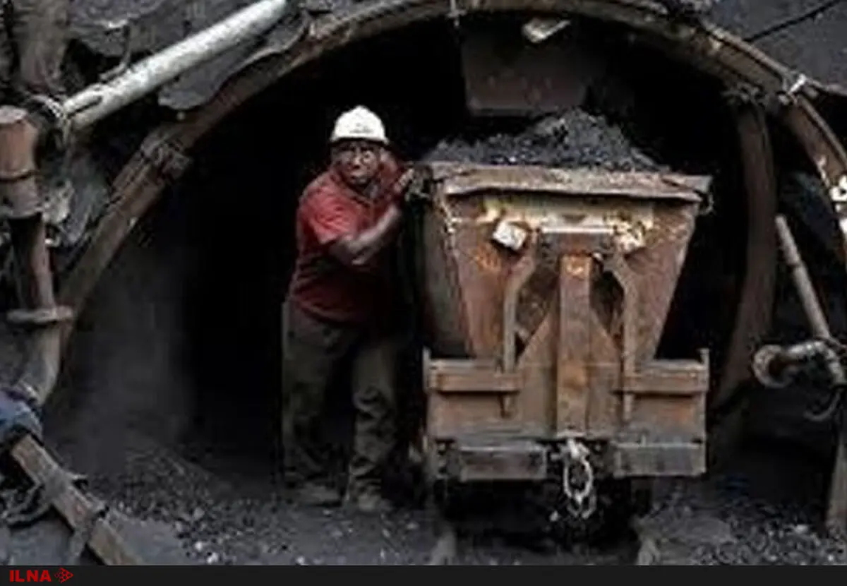 نخود و لوبیا مستحق ارز دولتی هستند اما لوکوموتیو معدن خیر؟!