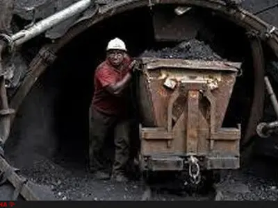 نخود و لوبیا مستحق ارز دولتی هستند اما لوکوموتیو معدن خیر؟!
