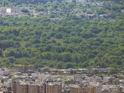 آغاز کمپین نجات باغ های شیراز