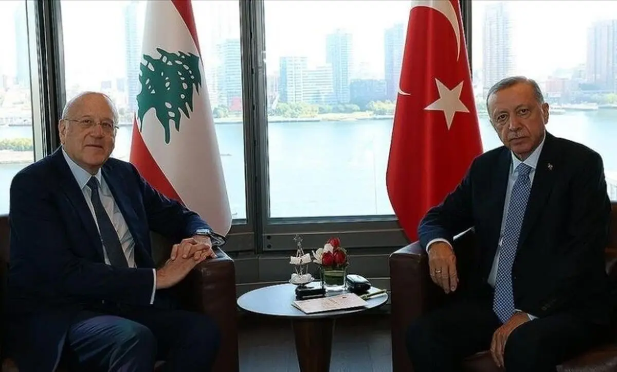 دیدار رجب طیب اردوغان و نجیب میقاتی