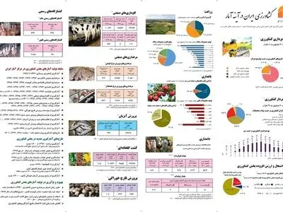 سهم ۱۶ درصدی کشاورزی در اشتغال کل کشور/ سن بالا و تحصیلات پایین، چالش اصلی اشتغال روستایی