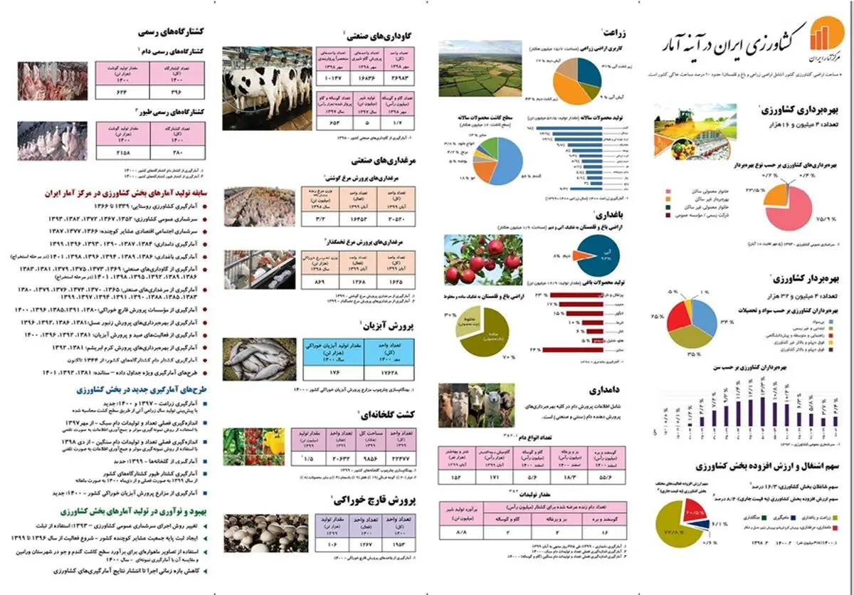 سهم ۱۶ درصدی کشاورزی در اشتغال کل کشور/ سن بالا و تحصیلات پایین، چالش اصلی اشتغال روستایی