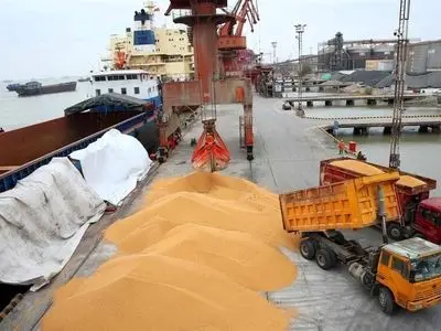 تعیین سقف قیمت نهاده‌های دامی در بازارگاه/ خریدها بعد از حذف ارز ترجیحی کاهش یافت