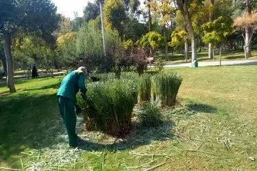 تمامی اراضی مشجر تهران دارای شناسنامه اکولوژیک و شهرسازی شدند