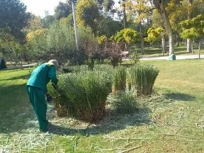 شرکت‌های پیمانکاری را از میان بردارید/ لزوم اجرای دستور رئیس جمهور در استان‌ها