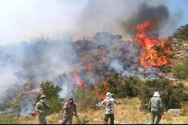 آتش سوزی در سطح جنگل ها و مراتع لرستان در ۱۱ نقطه متفاوت