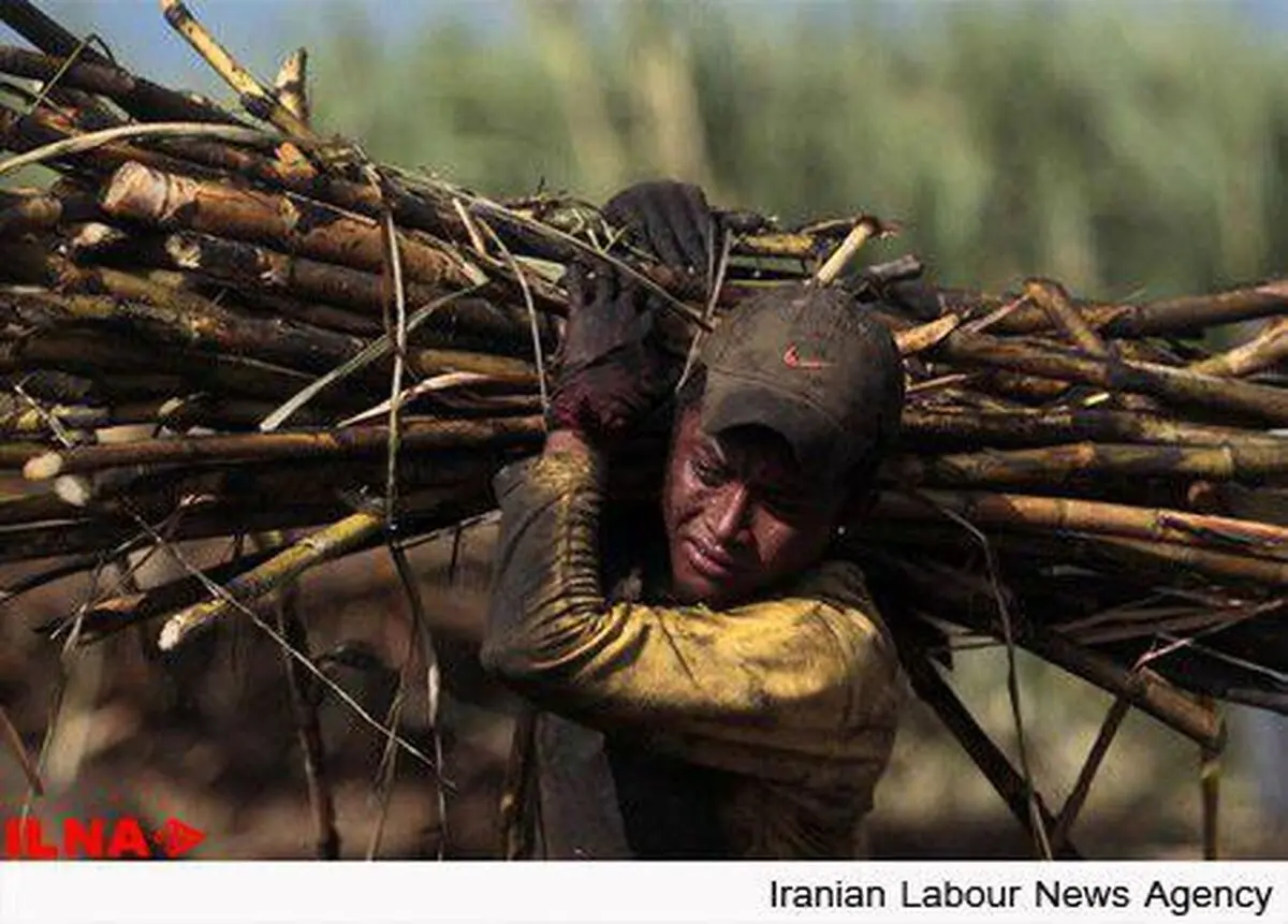 قصه محرومیت‌های کارگران فصلی؛ از نی‌بُری در خوزستان تا آجرپزی در تهران