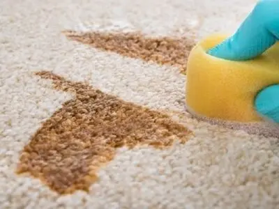 تمیز کردن قطعی لکه های فرش