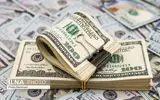 ابربدهکاران ارزی و پشت‌پرده تراستی‌ها معرفی شوند/ بیشترین سوءاستفاده‌ها در سال‌های ۱۴۰۱ تا ۱۴۰۴ رخ داده است