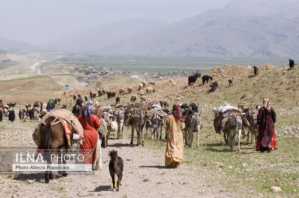 رشد مناسب بیمه عشایرطی یک سال گذشته