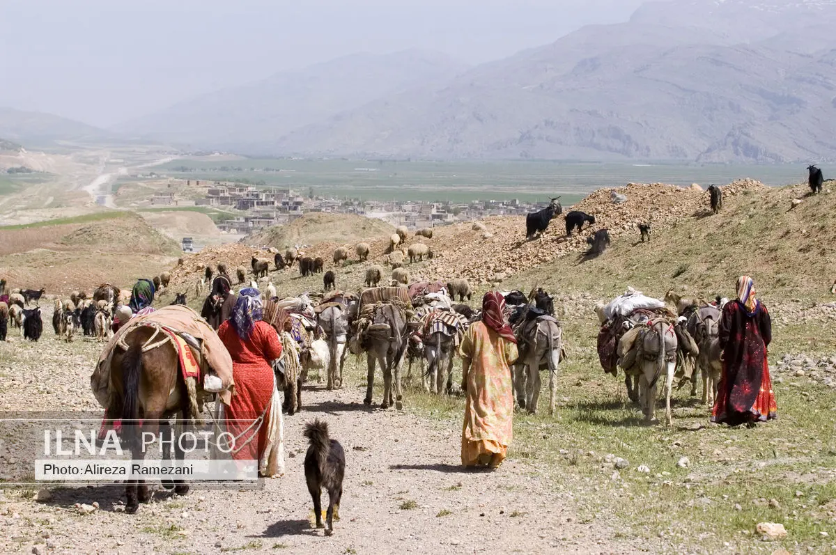 رشد مناسب بیمه عشایرطی یک سال گذشته