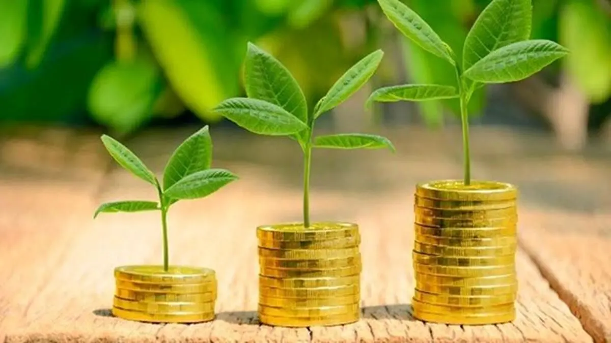 بهترین سرمایه گذاری با ۱۰۰ میلیون چیست؟