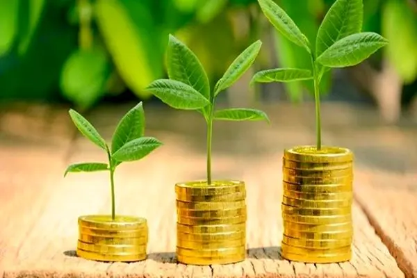 بهترین سرمایه گذاری با ۱۰۰ میلیون چیست؟