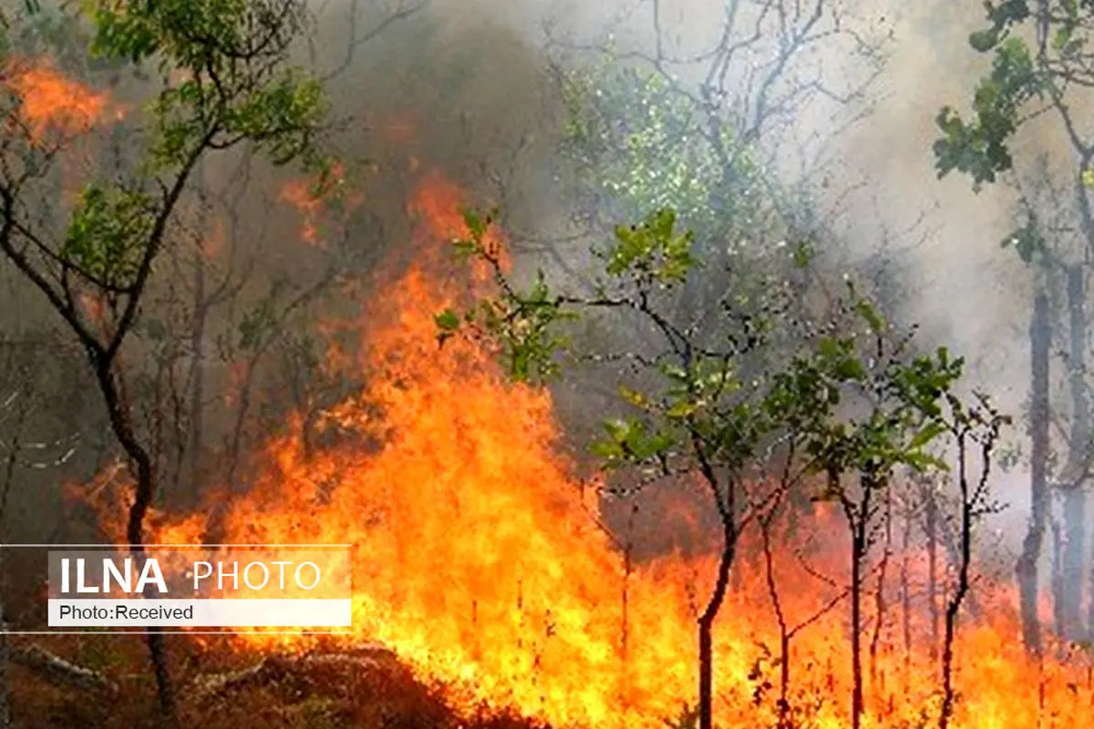 جنگل‌های ۲ هزار تنکابن آتش گرفت