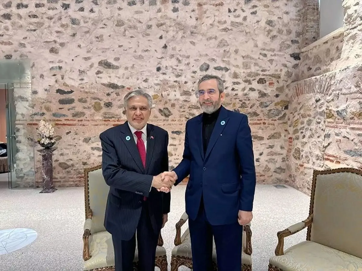 Acting Iranian FM meets top Pakistani diplomat on sidelines of D-8 meeting in Istanbul