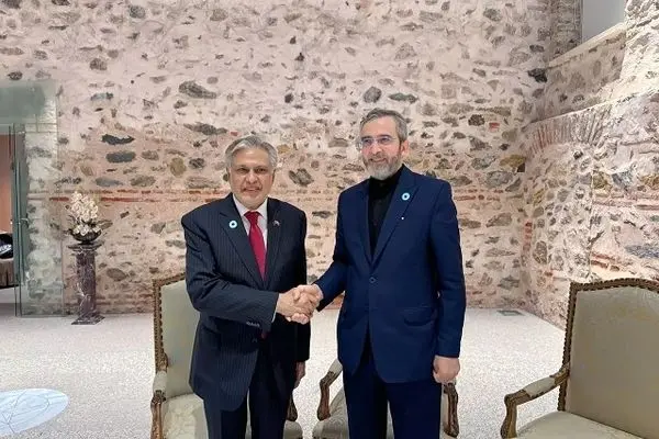 Acting Iranian FM meets top Pakistani diplomat on sidelines of D-8 meeting in Istanbul