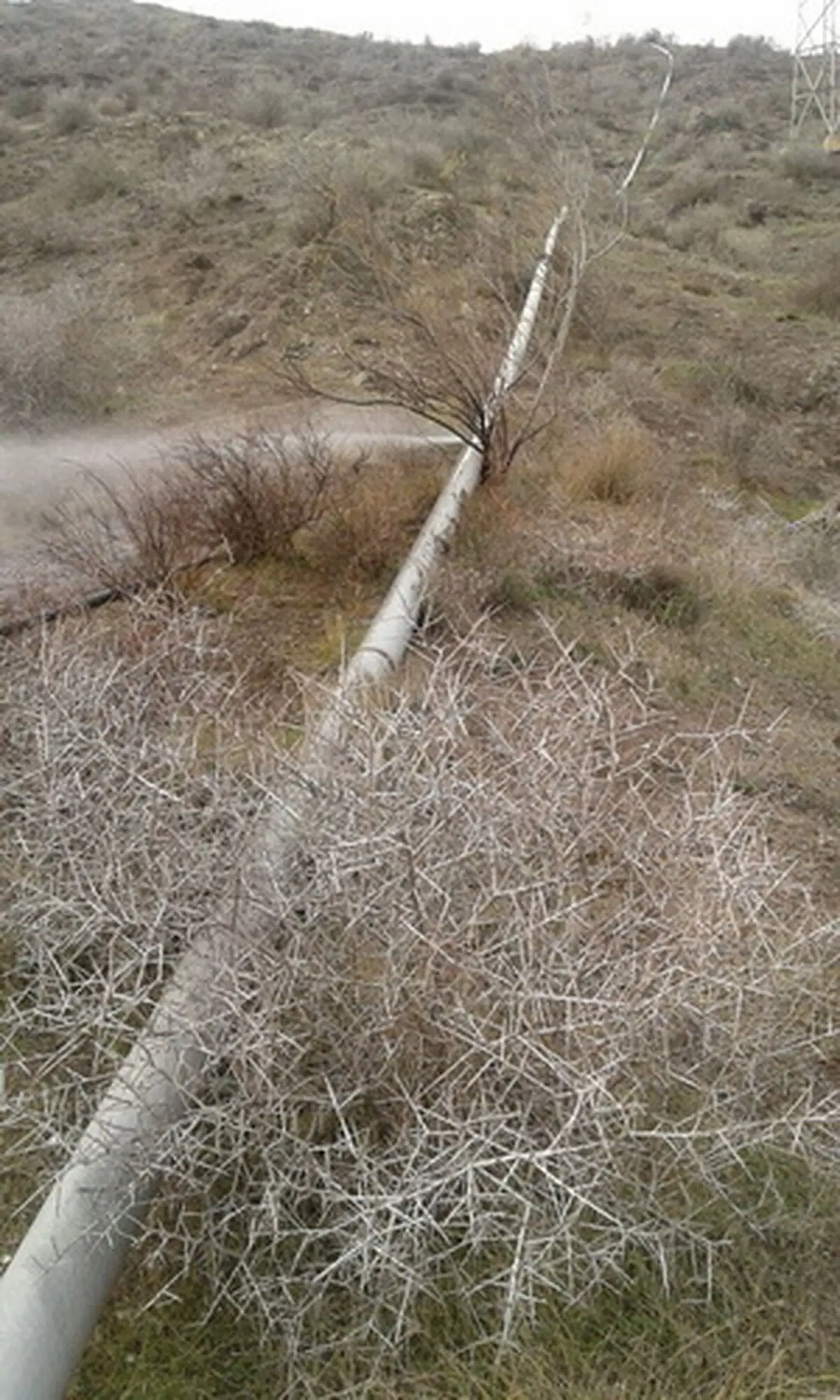 بازسازی شبکه آبرسانی روستای نظامیوند شهرستان رودبار