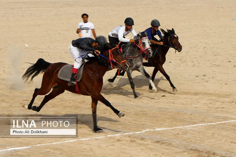 یازدهمین دوره مسابقات اسب دوانی جنوب کشور - 06