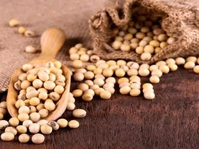 این افراد در خوردن سویا باید احتیاط کنند