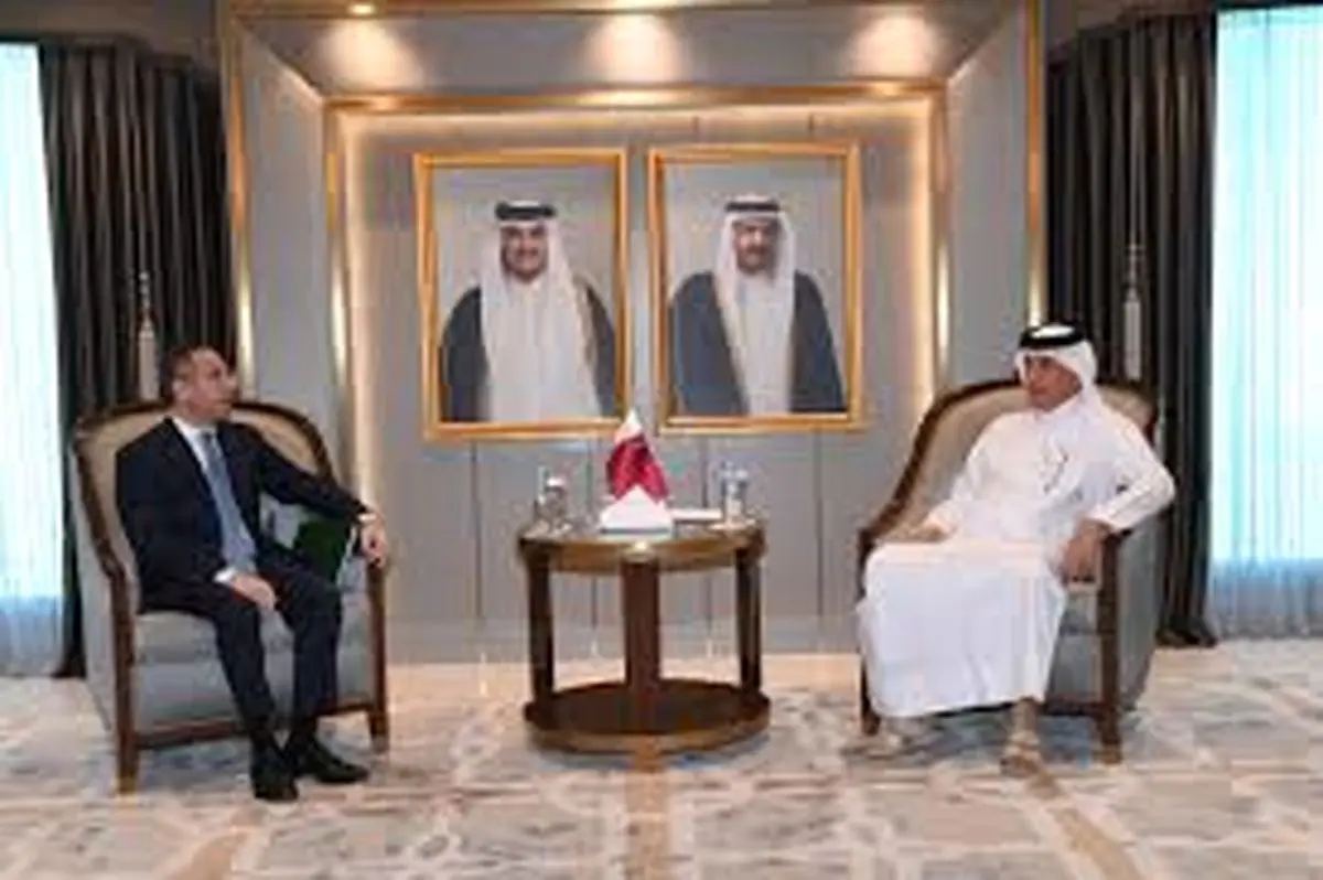 گفت‌وگوی عبدالعاطی و نخست وزیر قطر