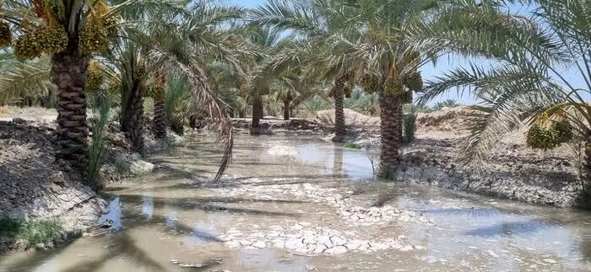 رهاسازی ۳۶ میلیون مترمکعب آب برای نخلستانهای پایین دست شادگان