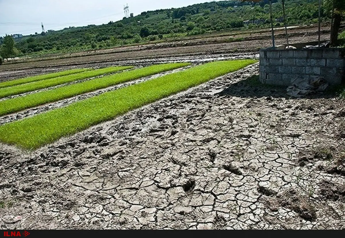 95 درصد آب‌های سطحی مازندران به دریا می‌ریزد / روزهای تعطیل با کم آبی مواجه می‌شویم