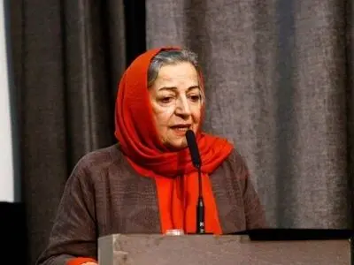 تا تشکیل سازمان نظام سینمایی صنوف خانه سینما در وزارت کار باقی می‌مانند