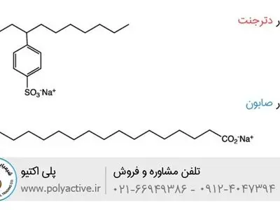 دترجنت چیست و چه کاربردی دارد