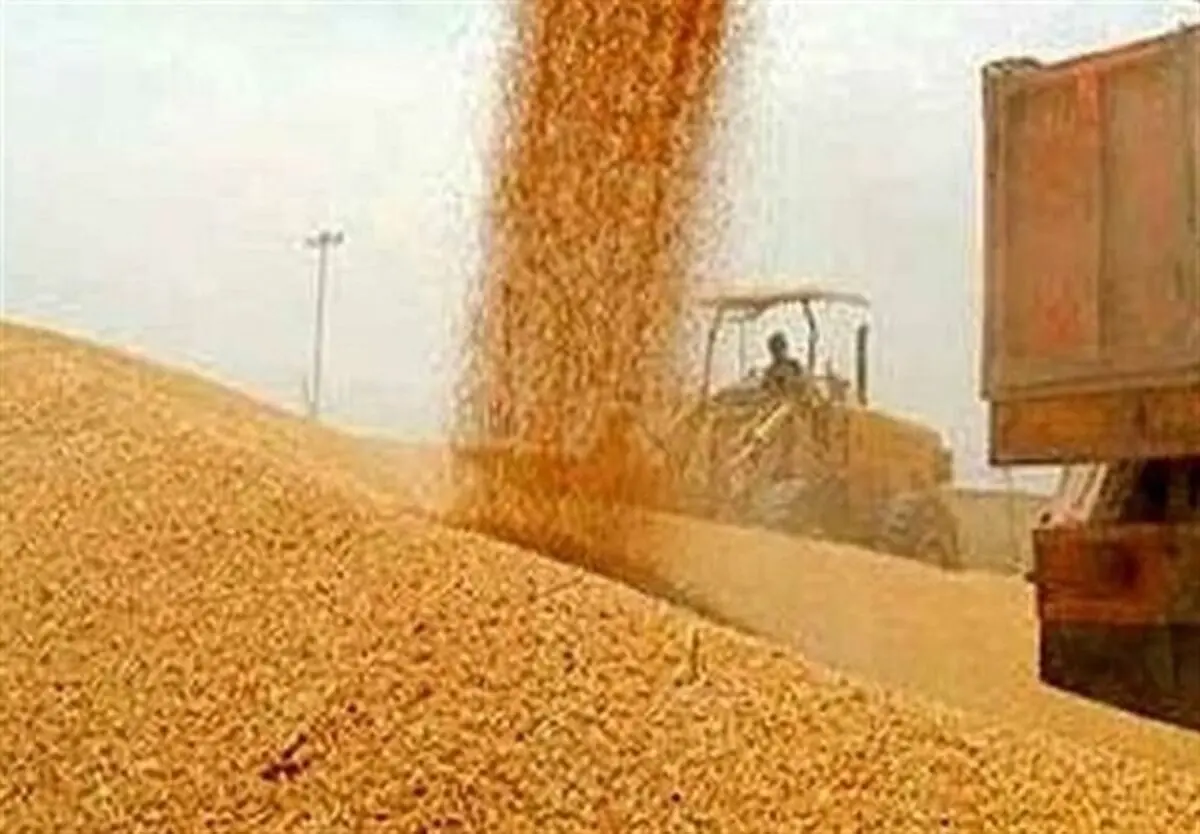 پرداخت مطالبات گندم‌کاران کلید خورد