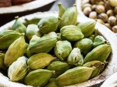 فواید و مضرات استفاده از هل در غذا و چای