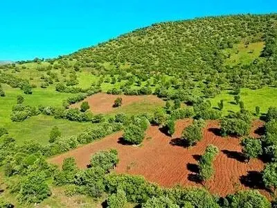 بازپس‌گیری ۱۴ هزار هکتار از اراضی ملی طی ۸ ماه نخست امسال/ کشف ۴۲۷۰ مترمکعب چوب قاچاق در سطح کشور 