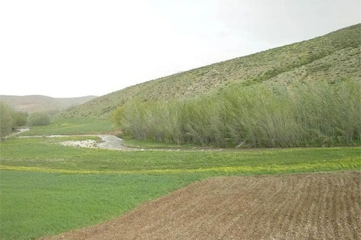 رفع تصرف 1531 هکتار از اراضی ملی استان در سال گذشته