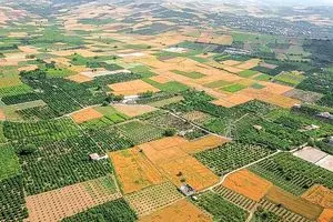 ۴۹ پرونده در شش ماهه نخست سالجاری بررسی و تعیین تکلیف شد