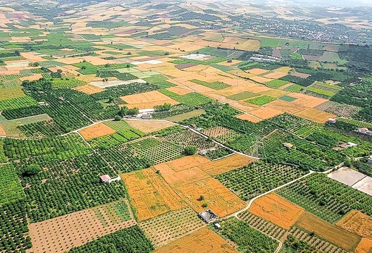 ۴۹ پرونده در شش ماهه نخست سالجاری بررسی و تعیین تکلیف شد