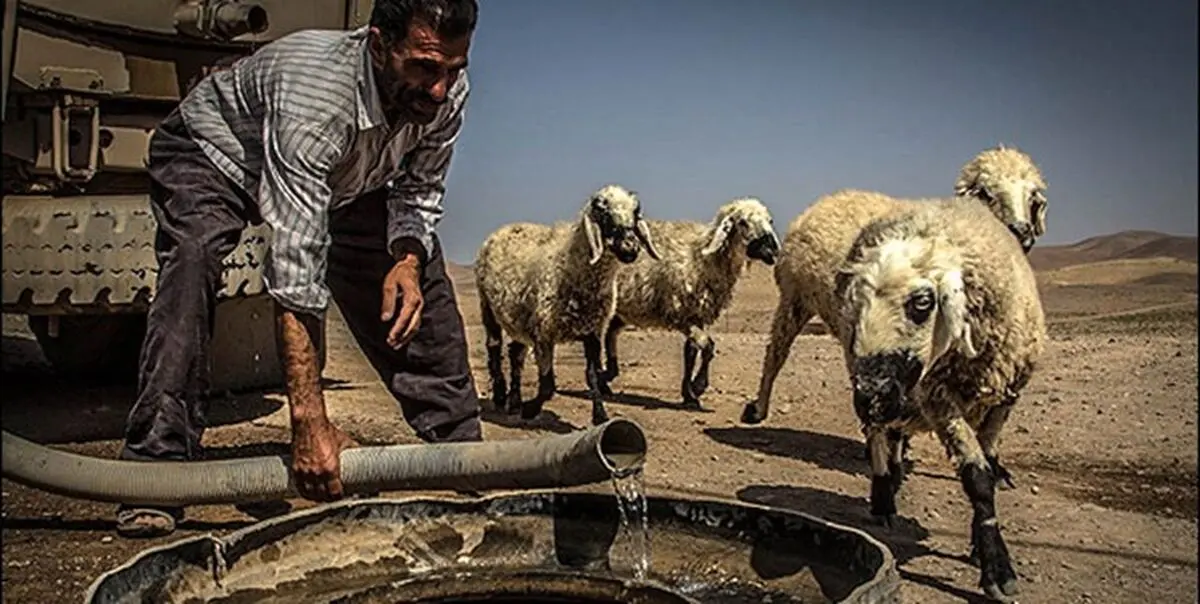 خشکسالی باعث کاهش ۷۰ درصدی دام در مراتع بردسکن شد