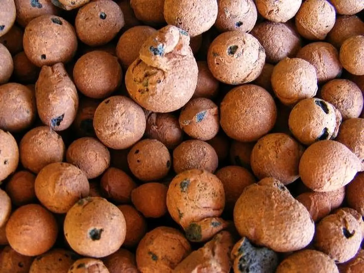 پوکه لیکا چیست