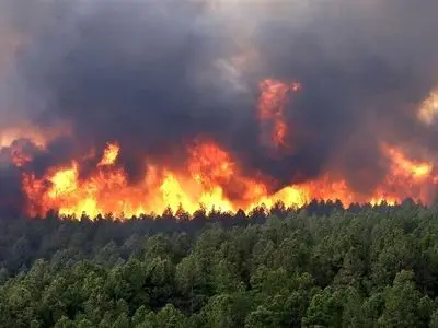 هشدار محیط زیست گیلان درباره افزایش خطر آتش‌سوزی در جنگل‌ها و مراتع