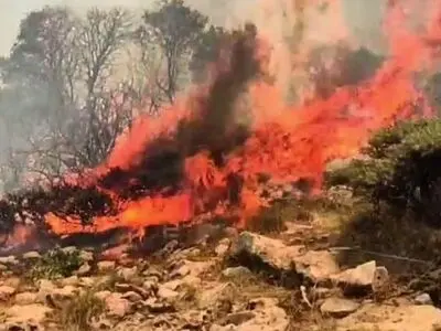 آتش مراتع جنگلی خاکه چرمو شهرستان دالاهو را فرا گرفت