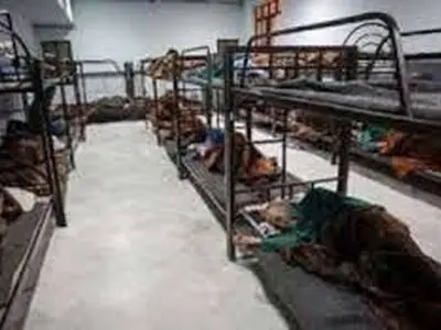 پذیرش بیش از هزار نفر در گرمخانه خانه سبز مشهد