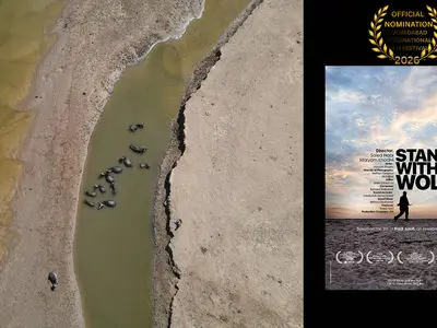 «ایستاده با گرگ» نامزد جایزه بهترین فیلم مستند جشنواره سینمایی هند شد