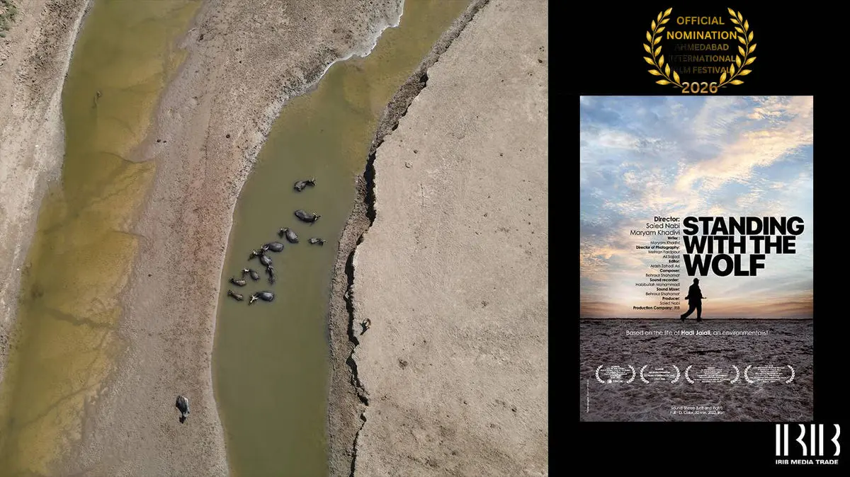 «ایستاده با گرگ» نامزد جایزه بهترین فیلم مستند جشنواره سینمایی هند شد
