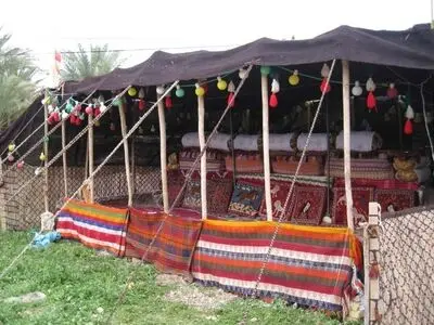 فعالیت ۴۵۳ صندوق اعتبارات خرد زنان عشایر در کشور