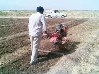 عملیات اجرایی کشت نیمه‌مکانیزه زعفران در دزپارت خوزستان 