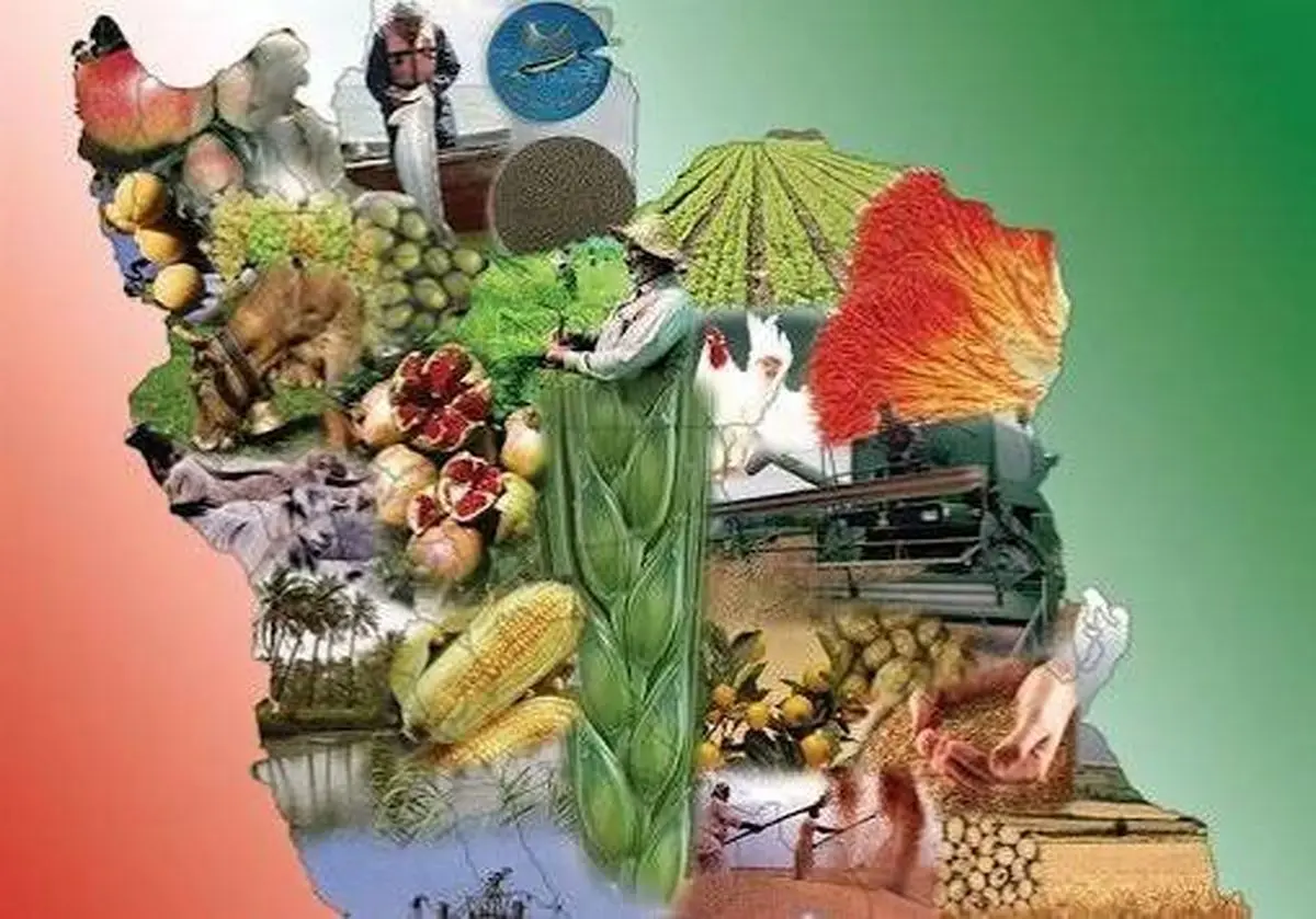 بهره‌وری، کلید امنیت غذایی چهارمحال و بختیاری است