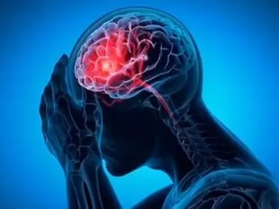 این ماده غذایی مغز را تقویت می‌کند